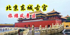 午夜日逼嫩白淫水视频中国北京-东城古宫旅游风景区